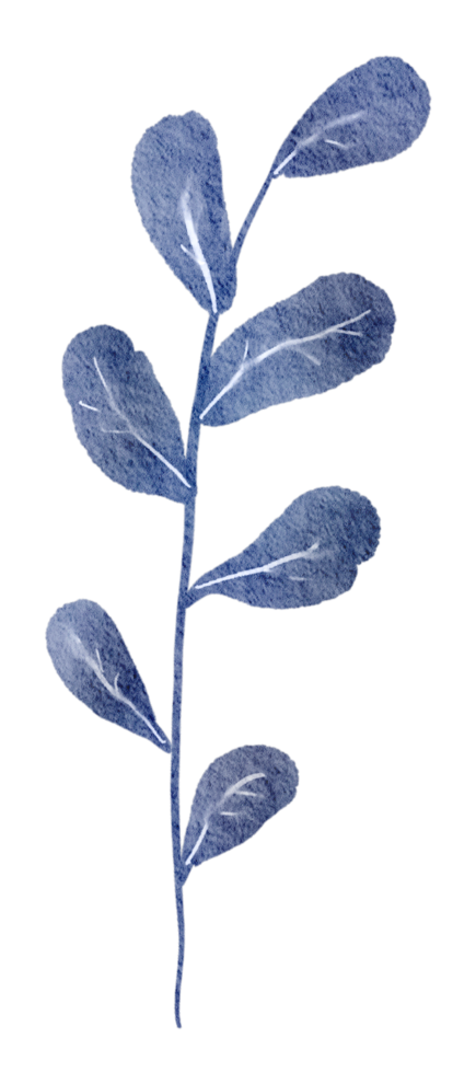 Leaf Element watercolor png