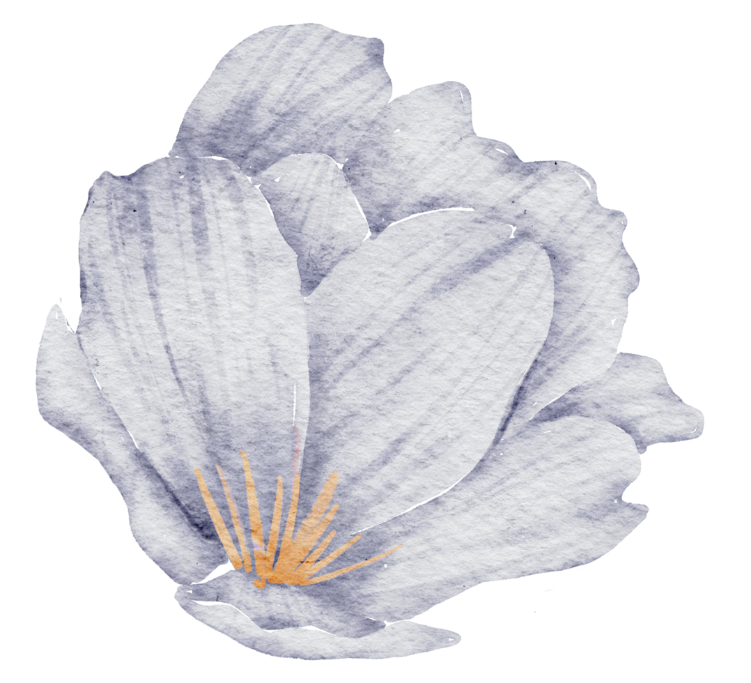 élément de fleur fleur de mariage aquarelle png