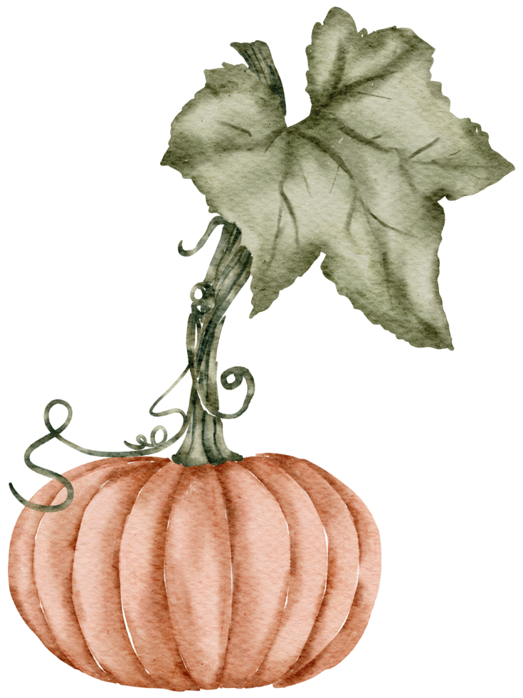 aquarelle de citrouille d'automne png