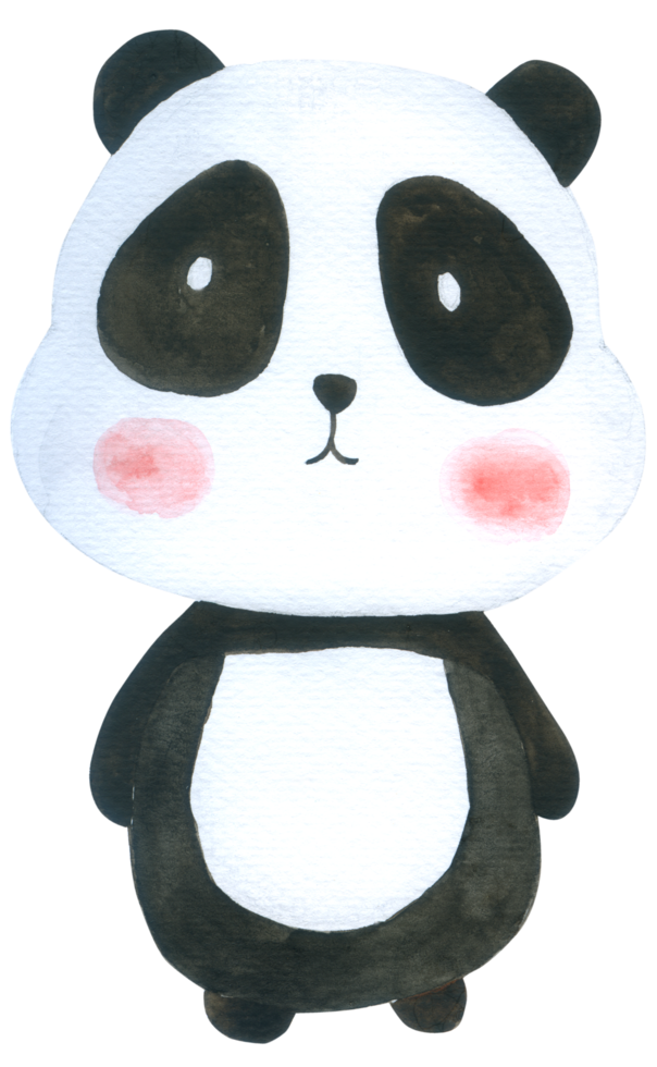simpatico cartone animato acquerello panda png