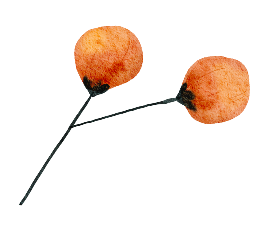 Free acuarela de flores y hojas de otoño 10194580 PNG with Transparent Background Free acuarela de flores y hojas de otoño 10194580 PNG with Transparent Background