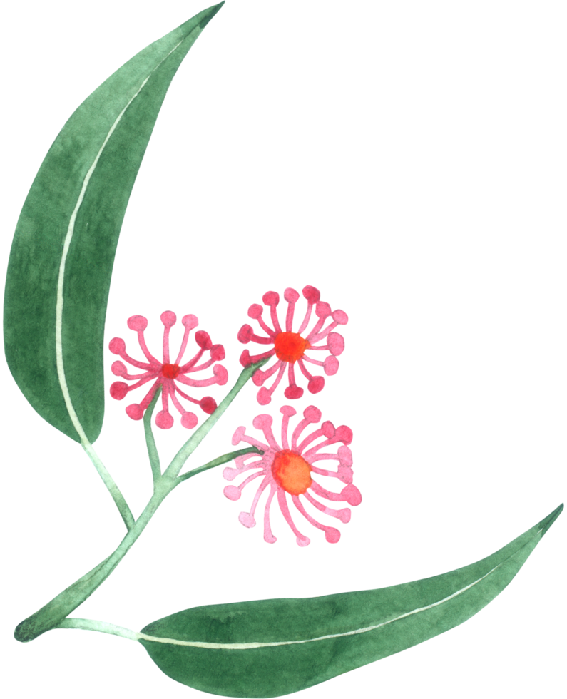 aquarelle élément feuille verte png