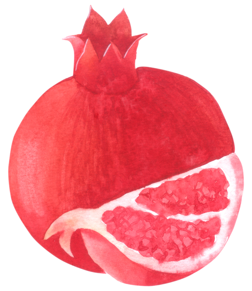 pomegranate watercolor hand paint png