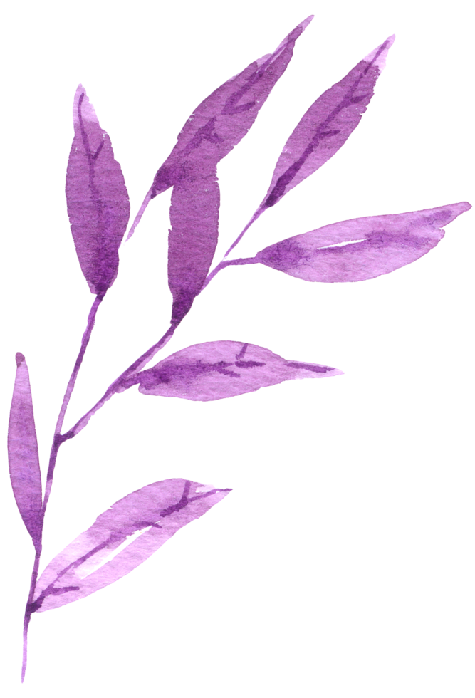 acquerello foglia viola png