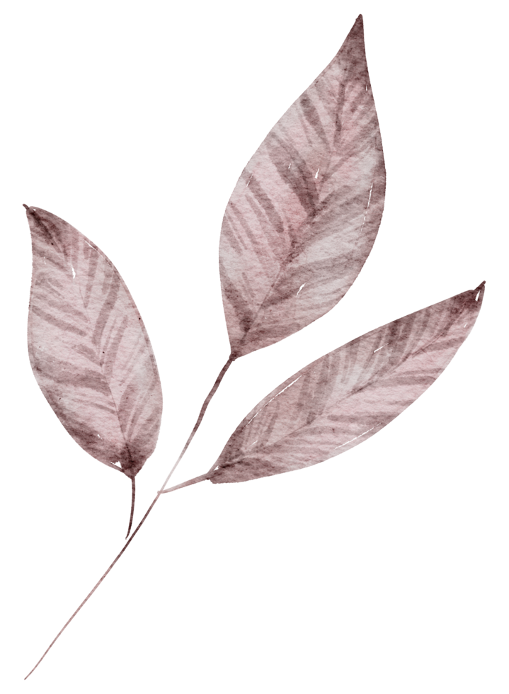 Leaf Element watercolor png