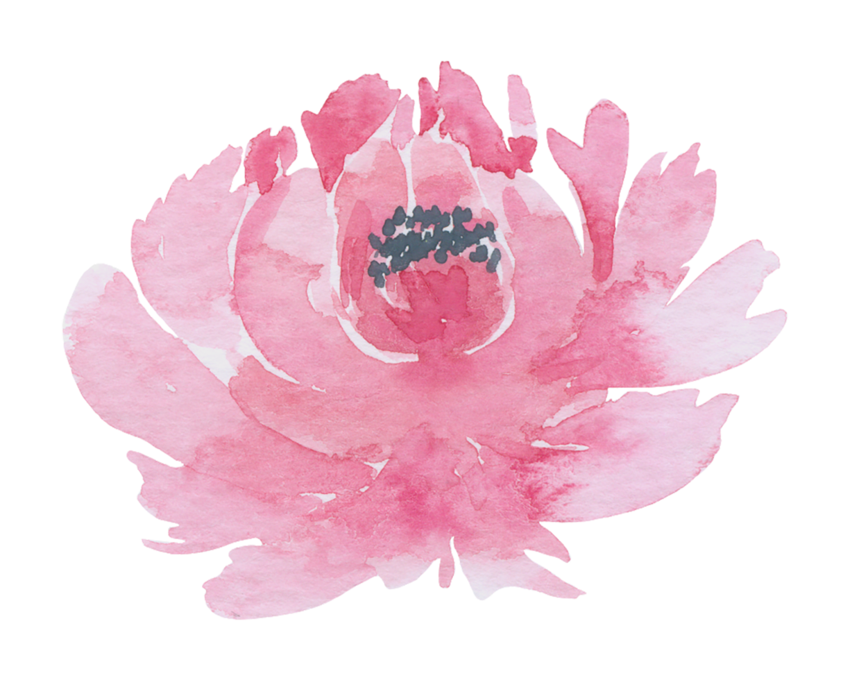 élément de fleur fleur de mariage aquarelle png