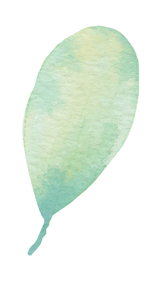 Leaf Element watercolor png