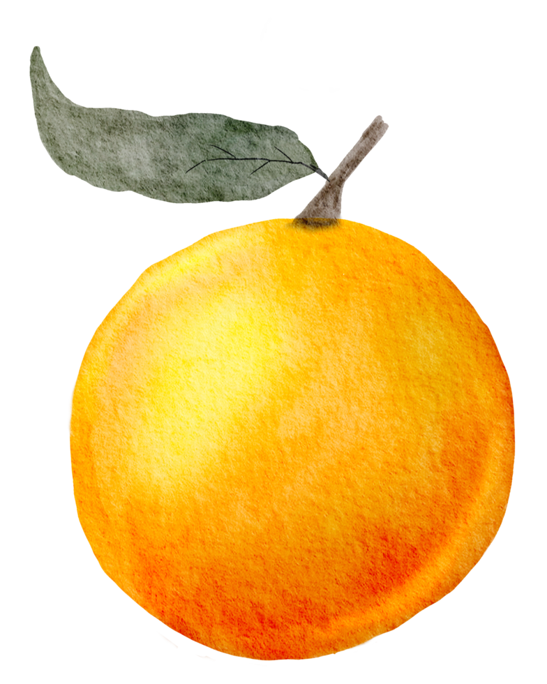 Orange watercolor Element png