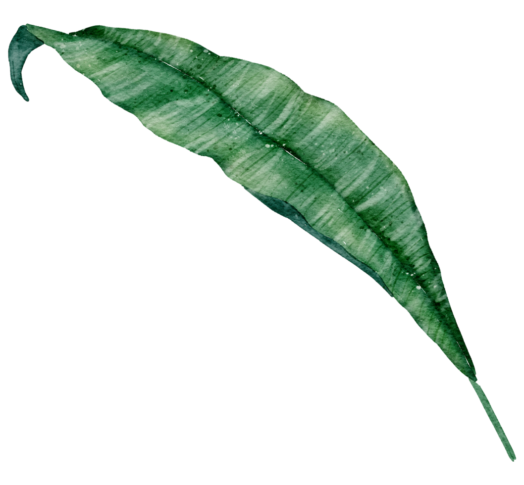 acuarela de elemento de hoja png