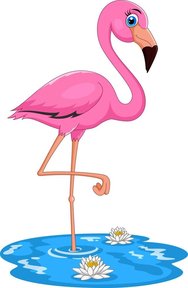 Cartoon pink flamingo bird vector