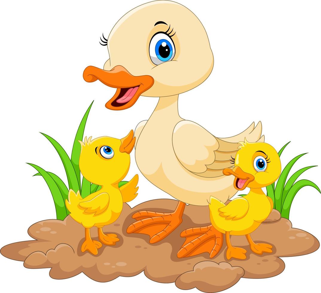 Mother duck  with her three little cute ducklings vector