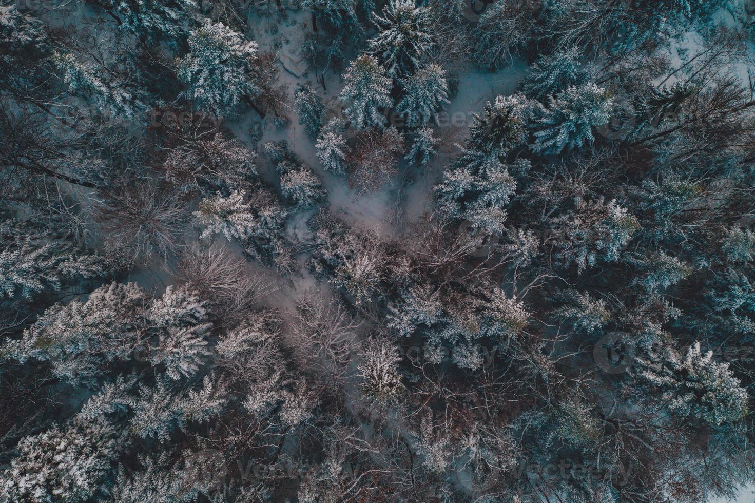 Aerial view of forest from aerial view, amazing winter scene, christmas theme, winter background. photo