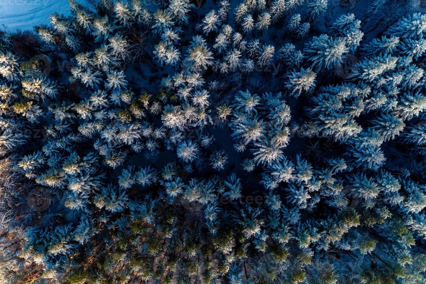 Beautiful fairytale winter snowy morning forest shot by drone. photo