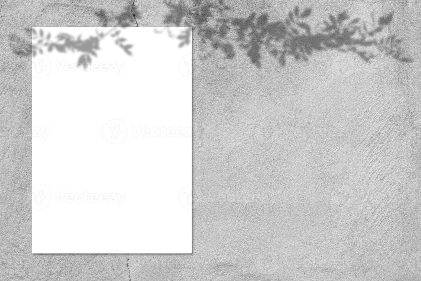 Blank white square poster mockup with light shadow on gray concrete wall background. photo