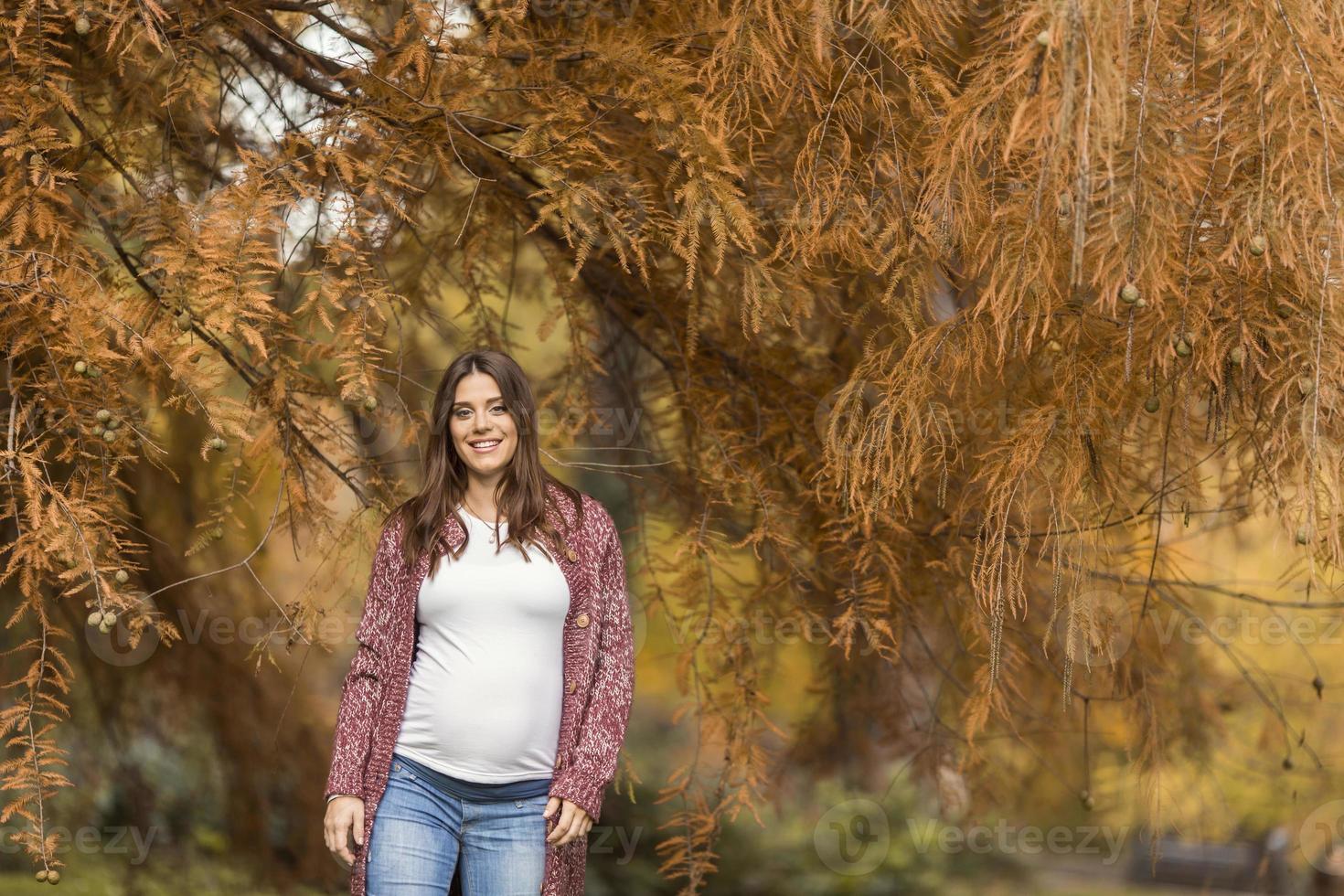 joven mujer embarazada en el parque otoño foto