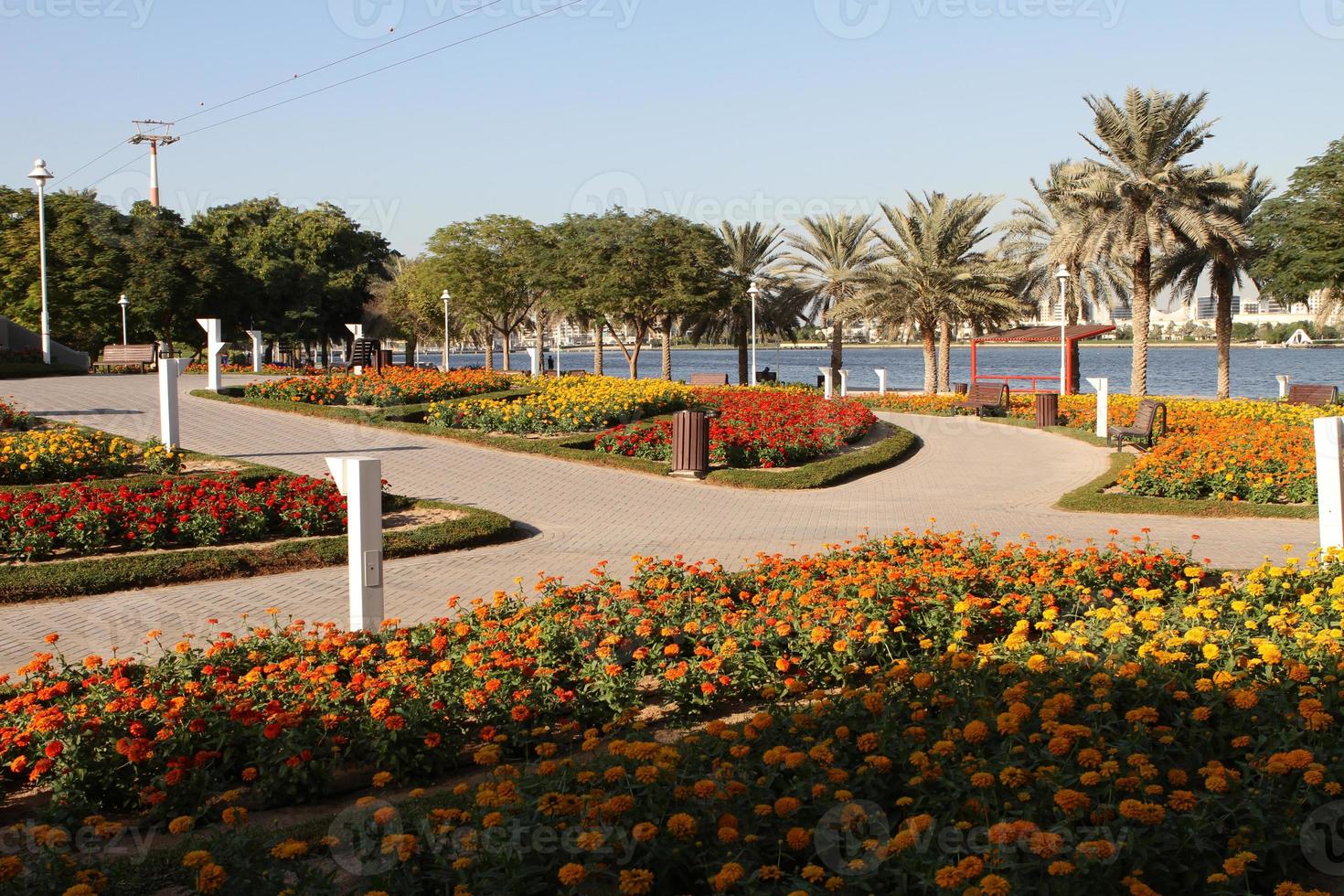 Dubai Creek Park photo