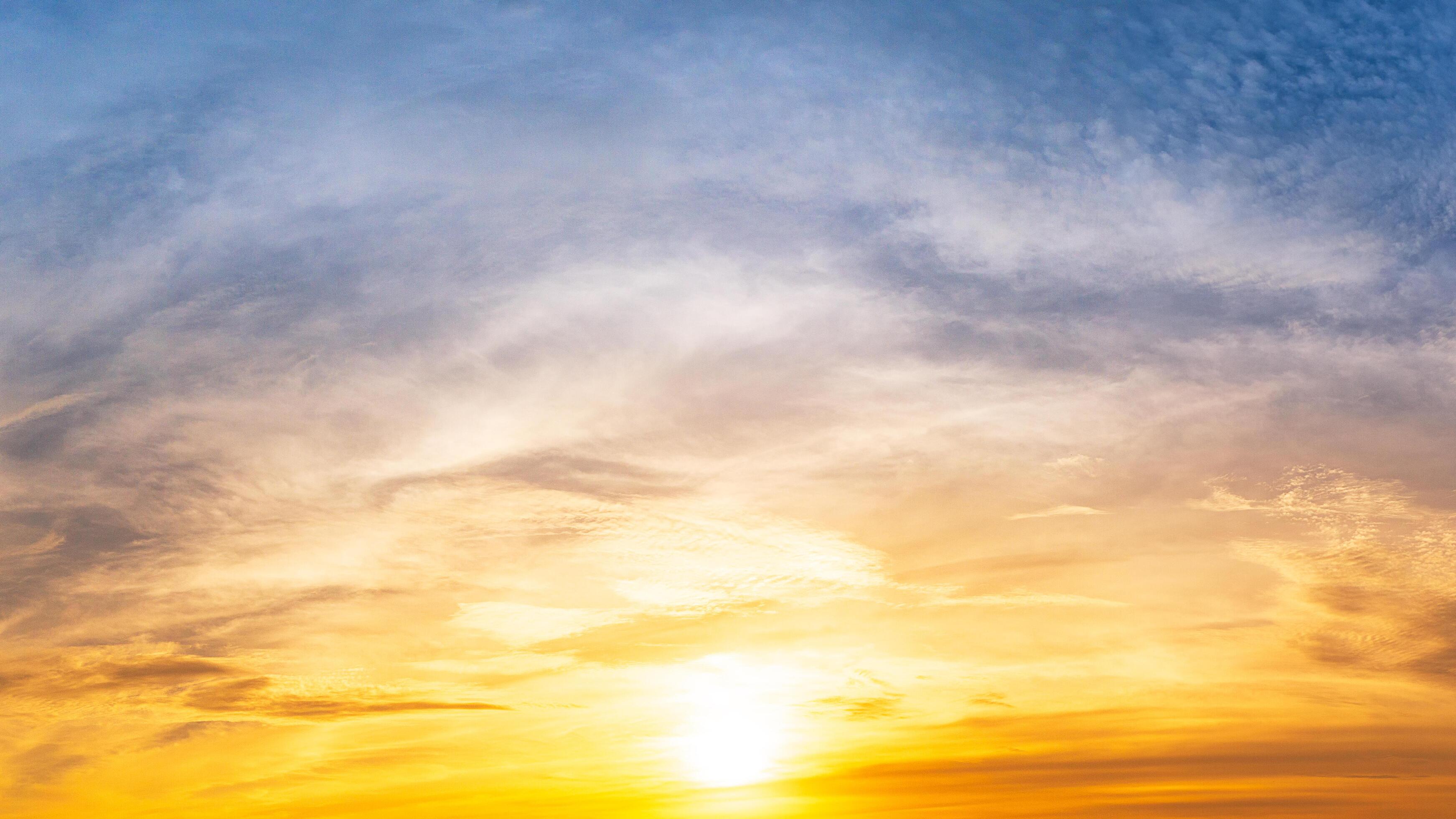 Morning Sun Obituaries Michigan - ng6a9po