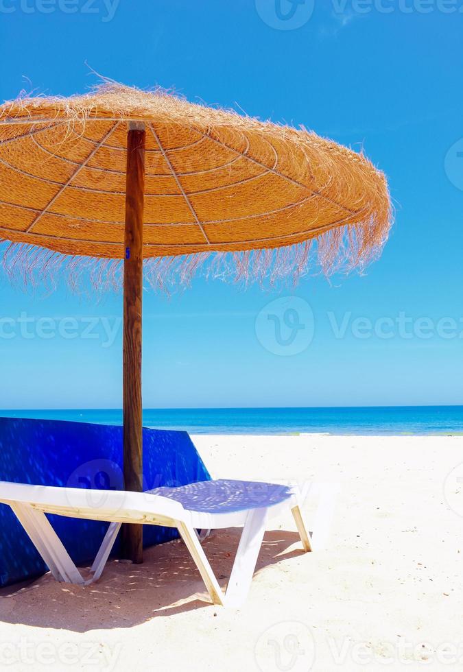 Umbrella and beach photo