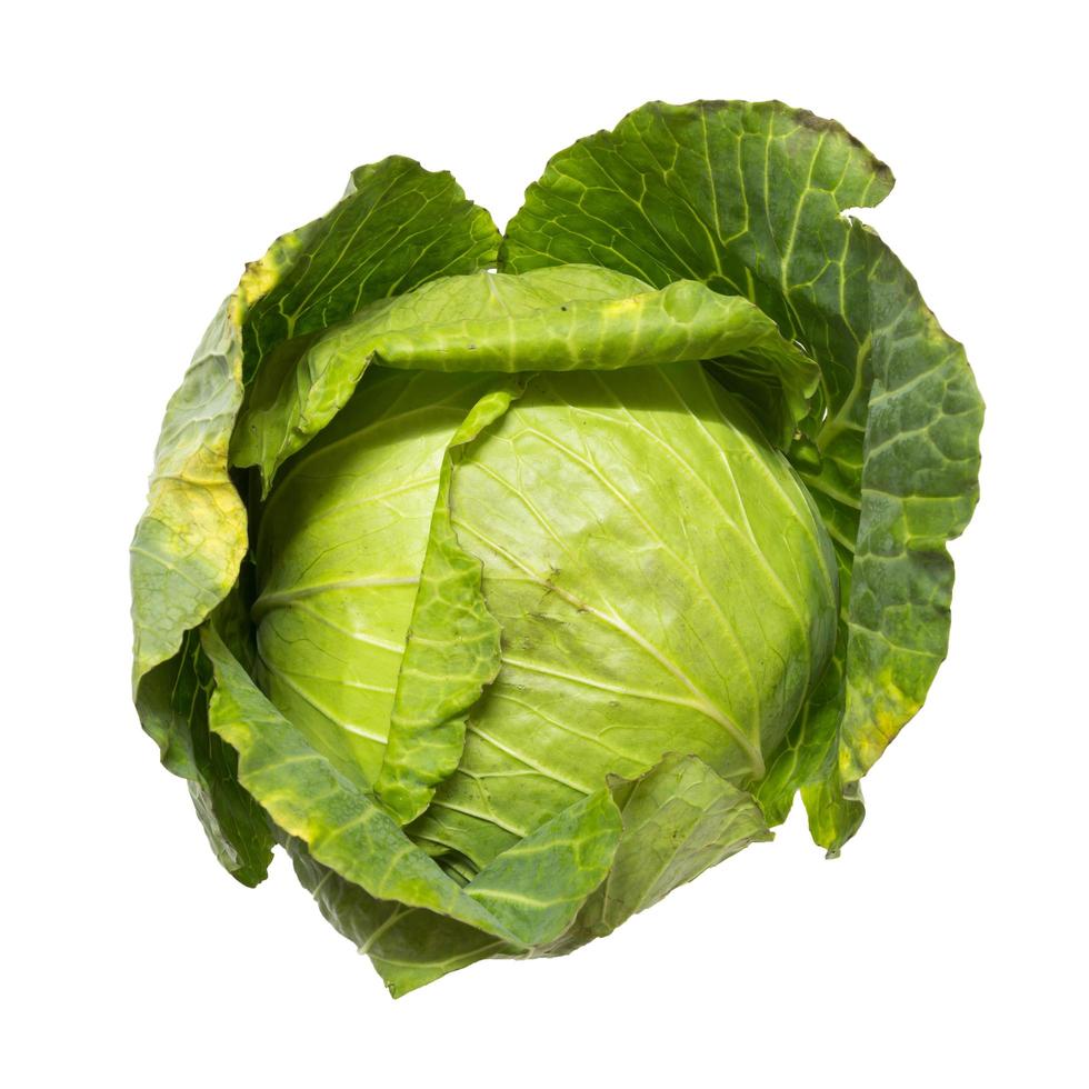 Top view of closeup cabbage on isolated white background photo