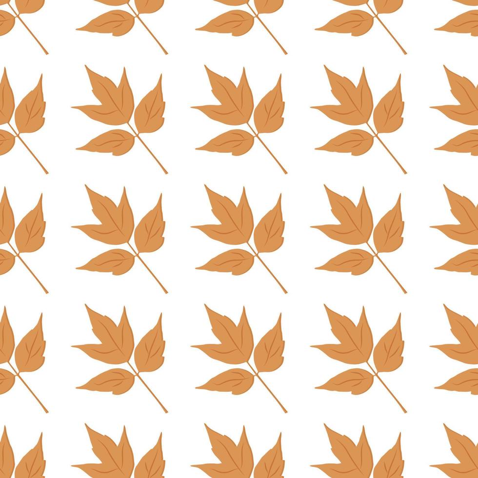 beautiful autumn pattern maple leaves can be used for posters banners backgrounds vector