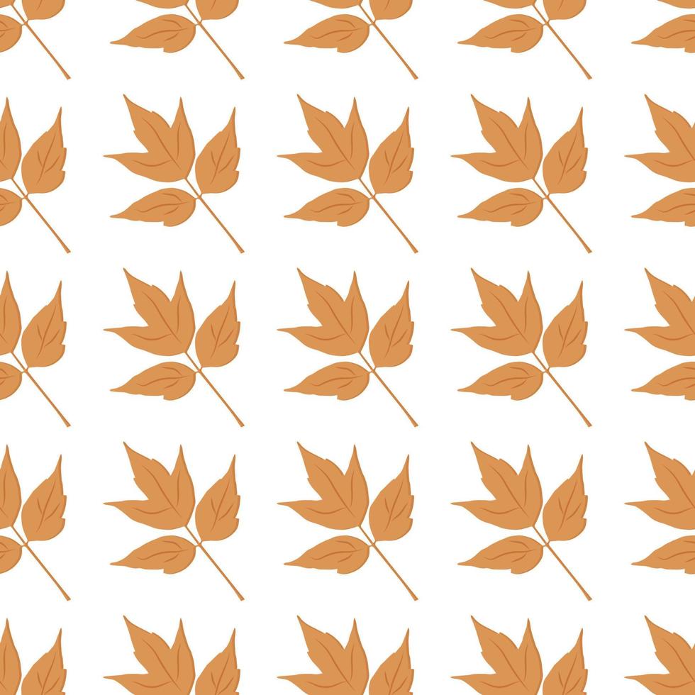 beautiful autumn pattern maple leaves can be used for posters banners backgrounds vector