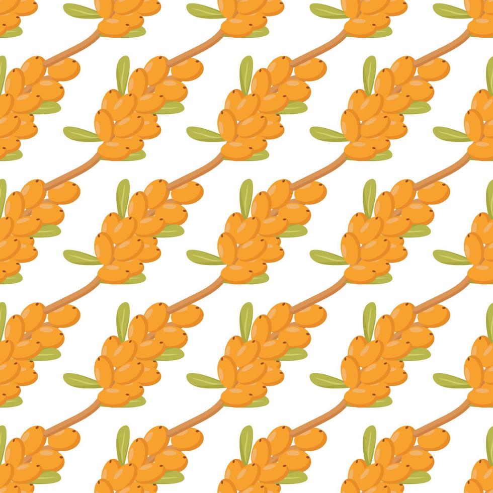beautiful pattern leaves ripe yellow sea buckthorn berries vector