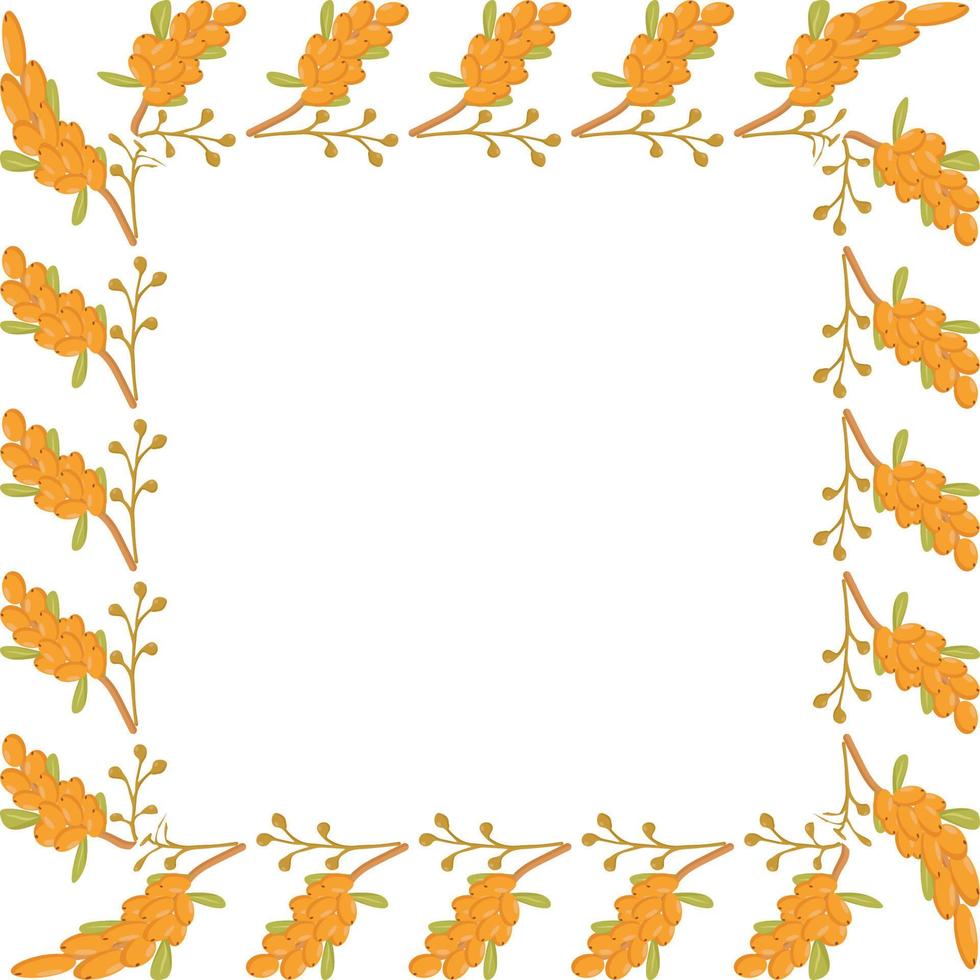 a square frame made of sea buckthorn branches for a poster of a postcard banner vector