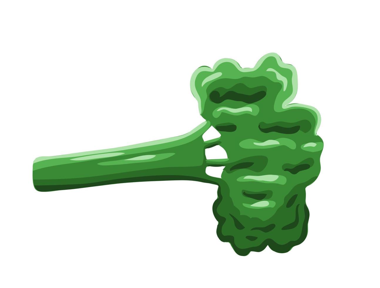 repollo de brócoli en estilo de dibujos animados vector