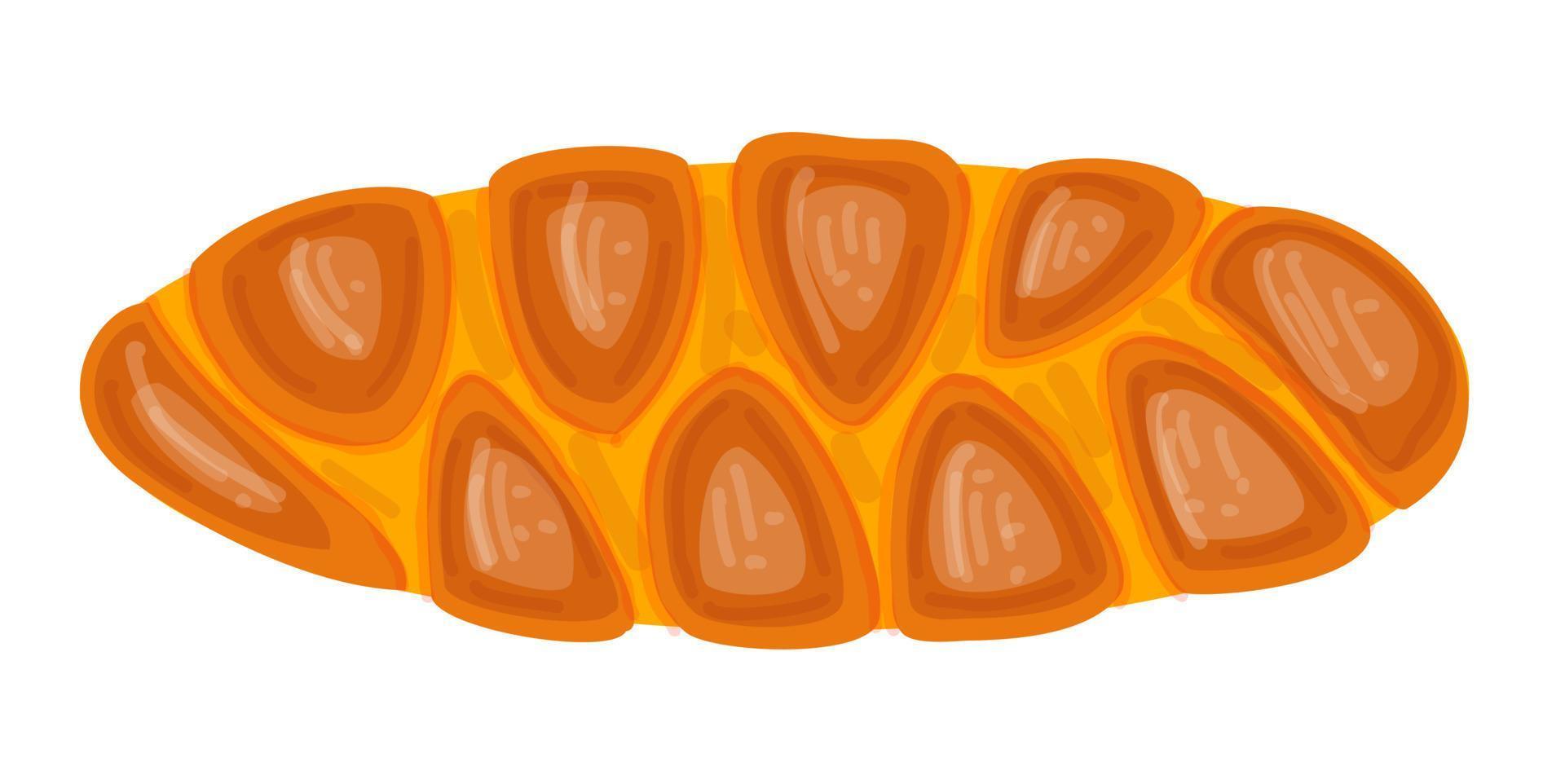 Challah traditional bread vector