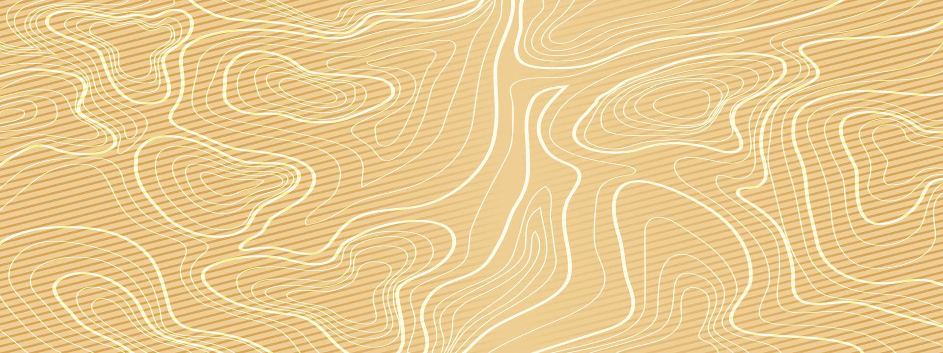topographic line contour map background, geographic grid map vector