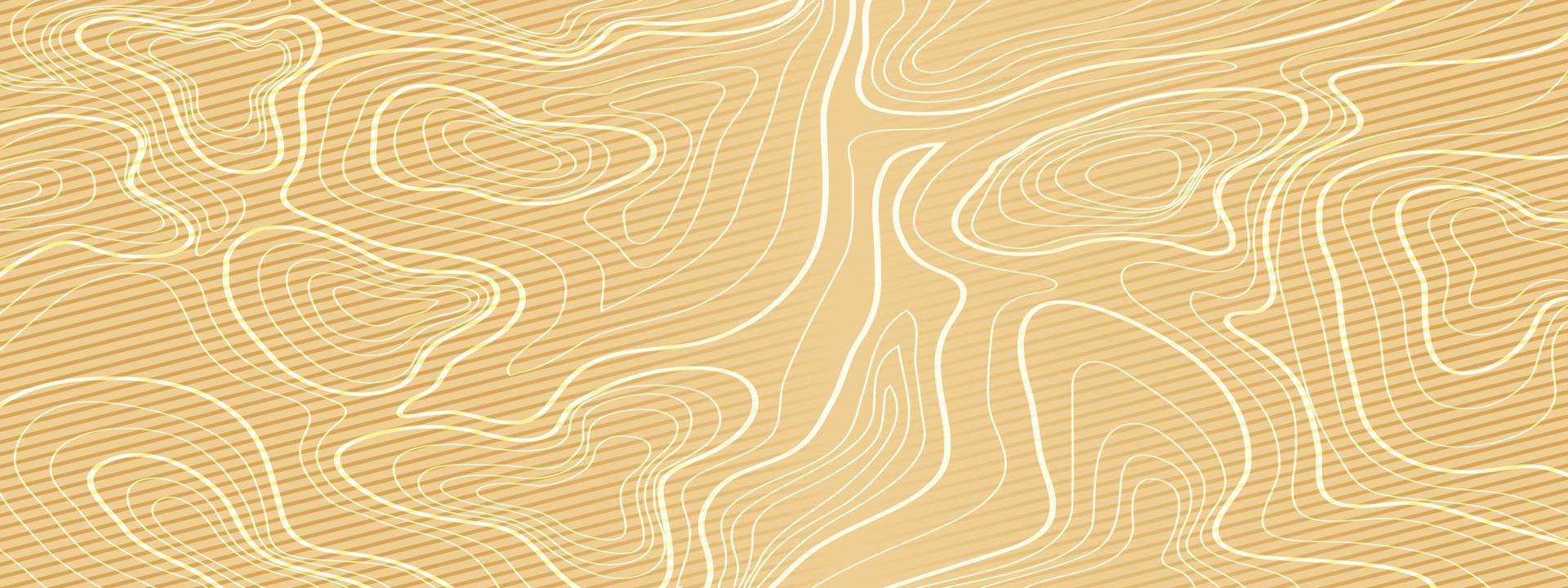 topographic line contour map background, geographic grid map vector