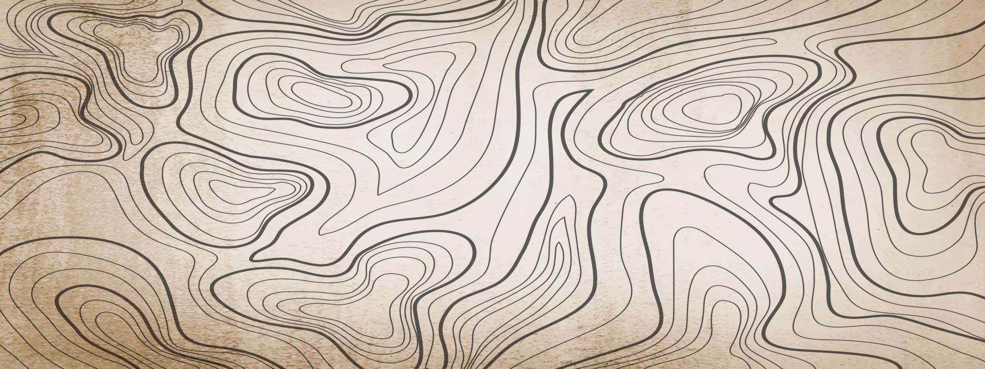 topographic line contour map background, geographic grid map vector