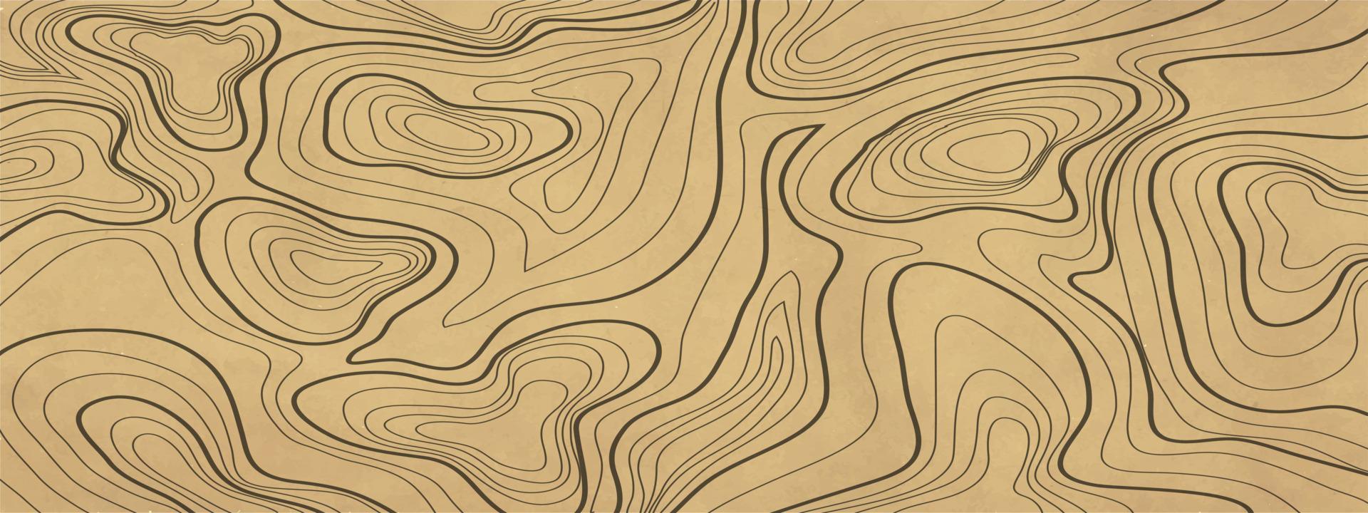 topographic line contour map background, geographic grid map vector