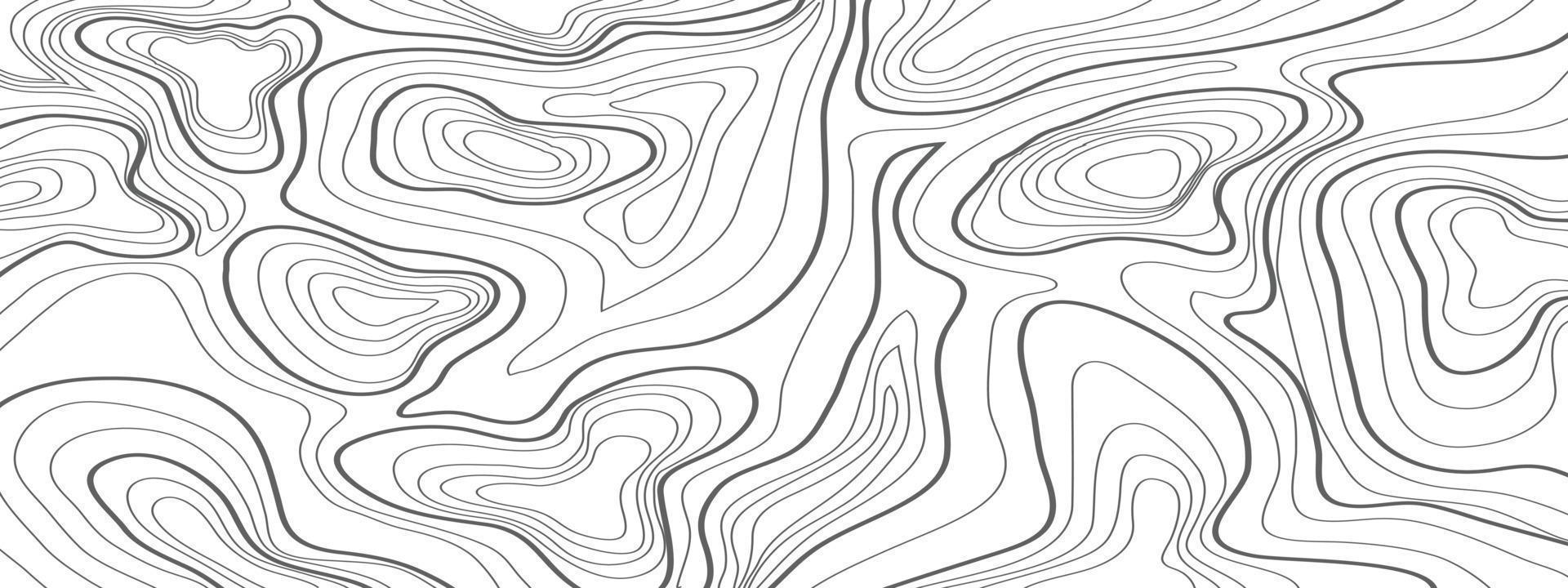 topographic line contour map background, geographic grid map vector