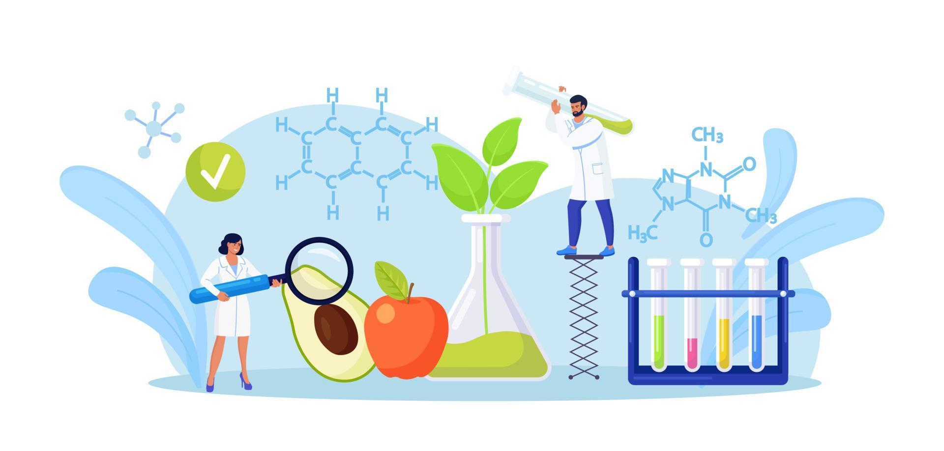 Biology scientists doing research on fruits, vegetables. People cultivating plants in lab. Food additives study. Genetic engineering. Genetically modified foods, gene technology vector
