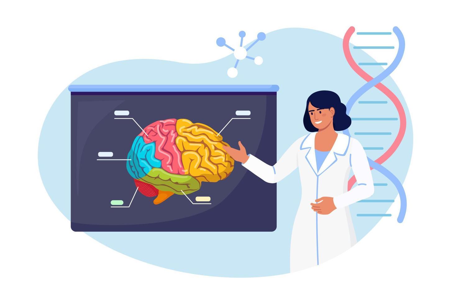 el médico que señala en el tablero de demostración médica con cerebro humano explica sus oportunidades. médico o científico enseñando sobre alzheimer, síntomas de la enfermedad de demencia, ciencia cognitiva de la enfermedad mental vector