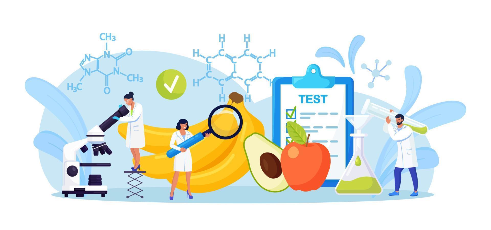 los científicos biológicos investigan los alimentos. pequeños químicos que prueban el producto para aprender sobre seguridad, estructura química. biólogos cultivando plantas en laboratorio, cultivando vegetales modificados genéticamente, frutas vector