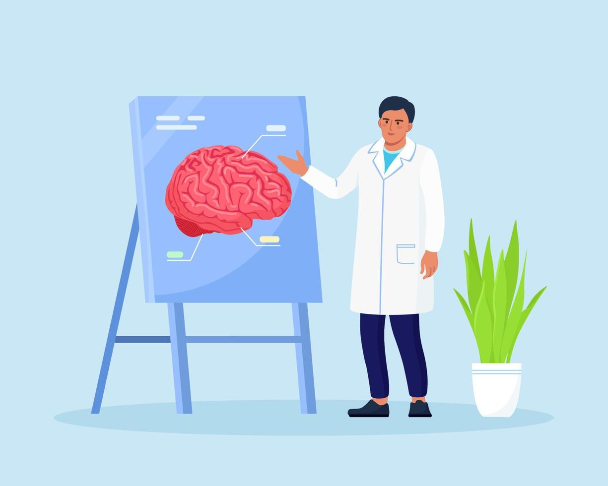 Doctor pointing on demonstration board with human brain explain its opportunities. Physician or scientist teaching about alzheimer, dementia disease symptoms, mental sickness. Medical conference vector