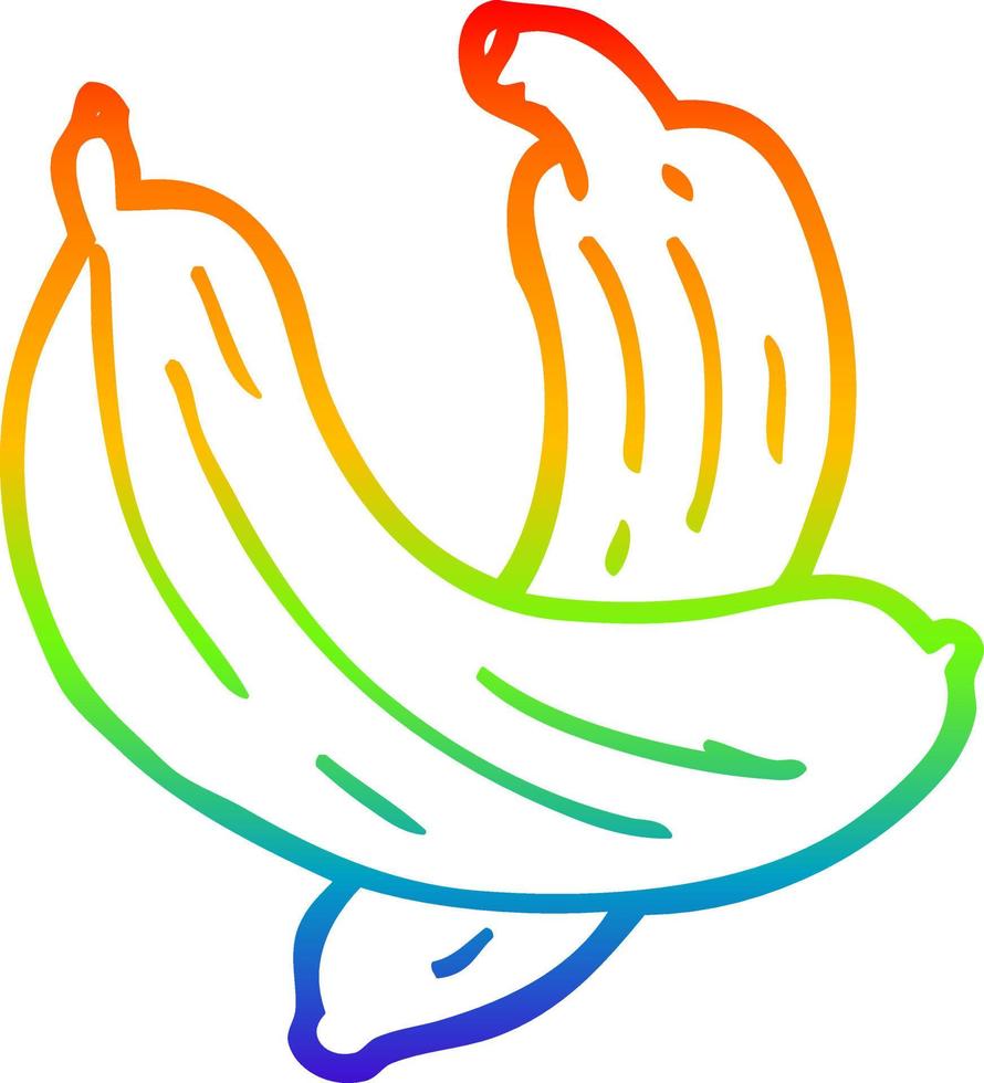 rainbow gradient line drawing cartoon pair of  bananas vector