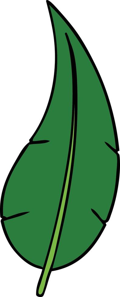 garabato de dibujos animados de una hoja larga verde vector