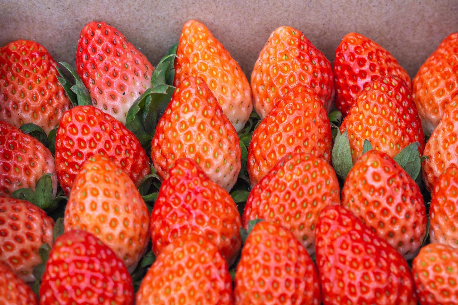 Strawberry of the same shape and size, arranged in rows on a brown background for sale in the market photo