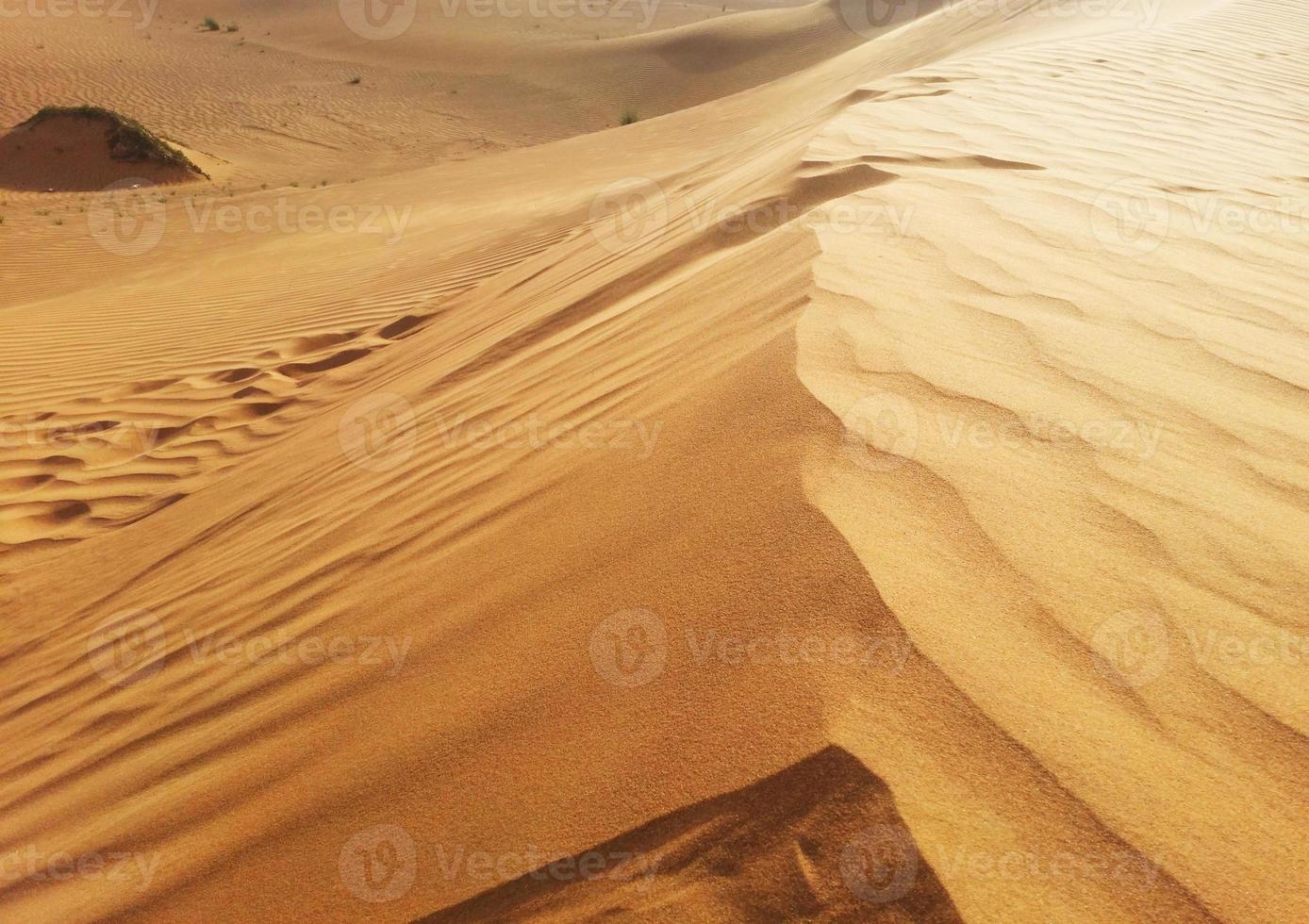 dunas de arena en el desierto foto