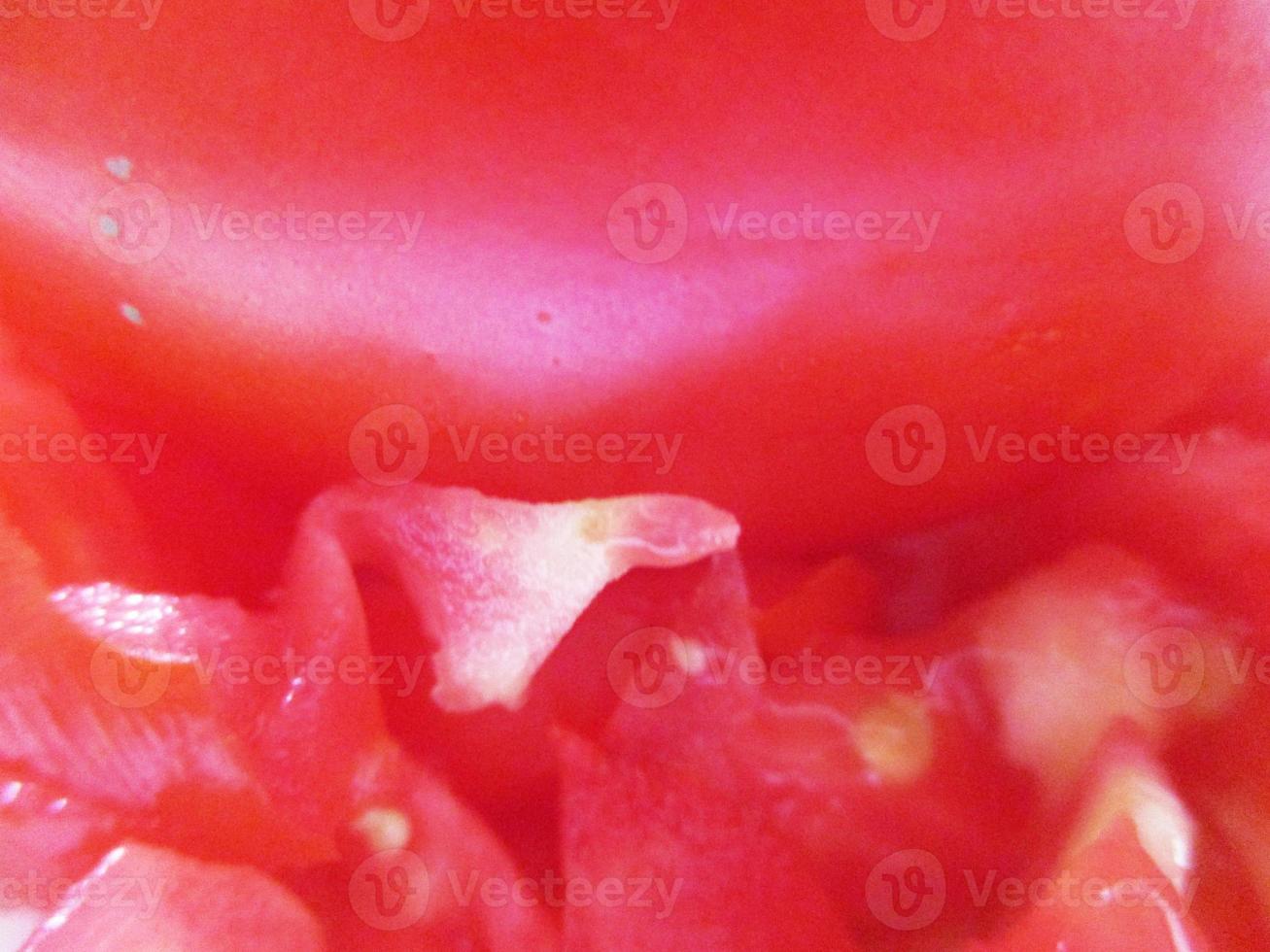 food, vegetables and fruits photo