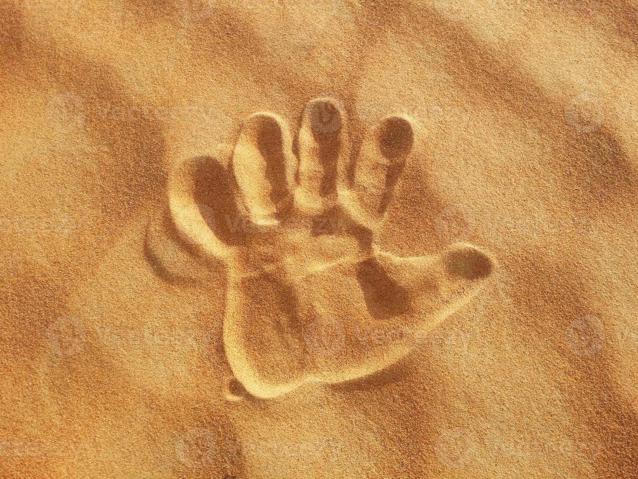 Sand dunes in the desert photo