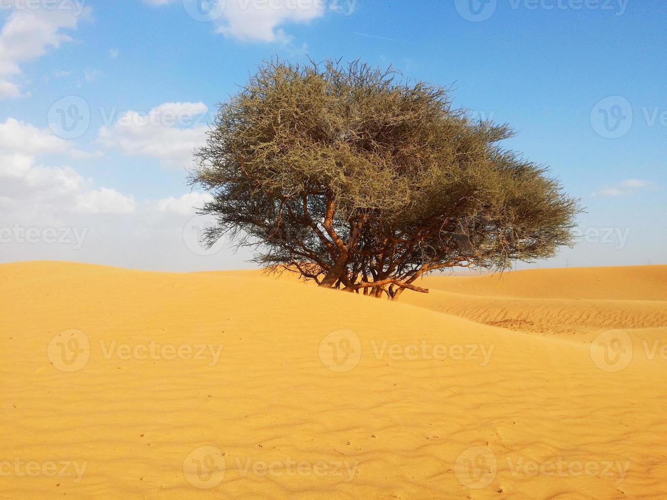 Sand dunes in the desert photo