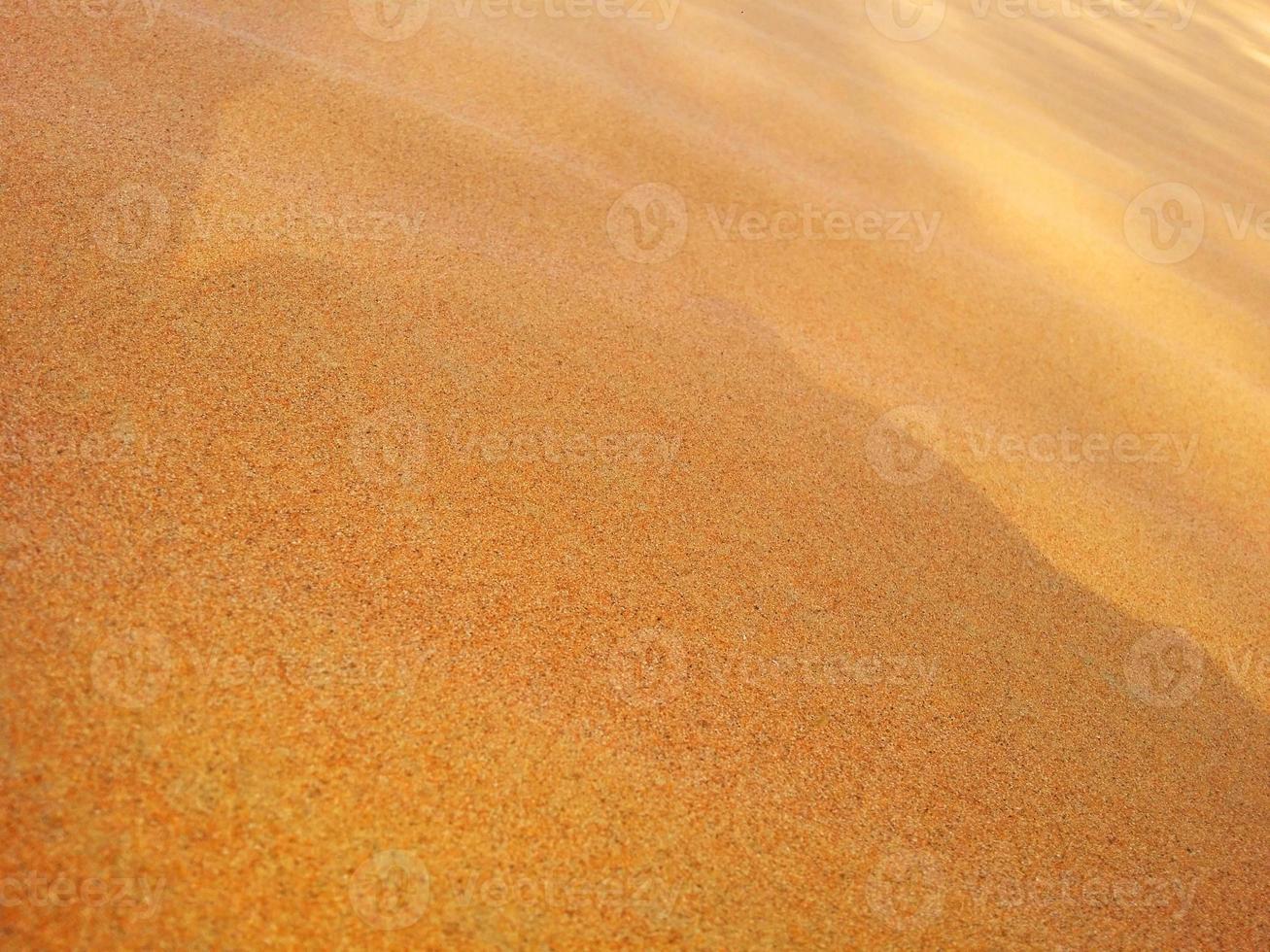 Sand dunes in the desert photo