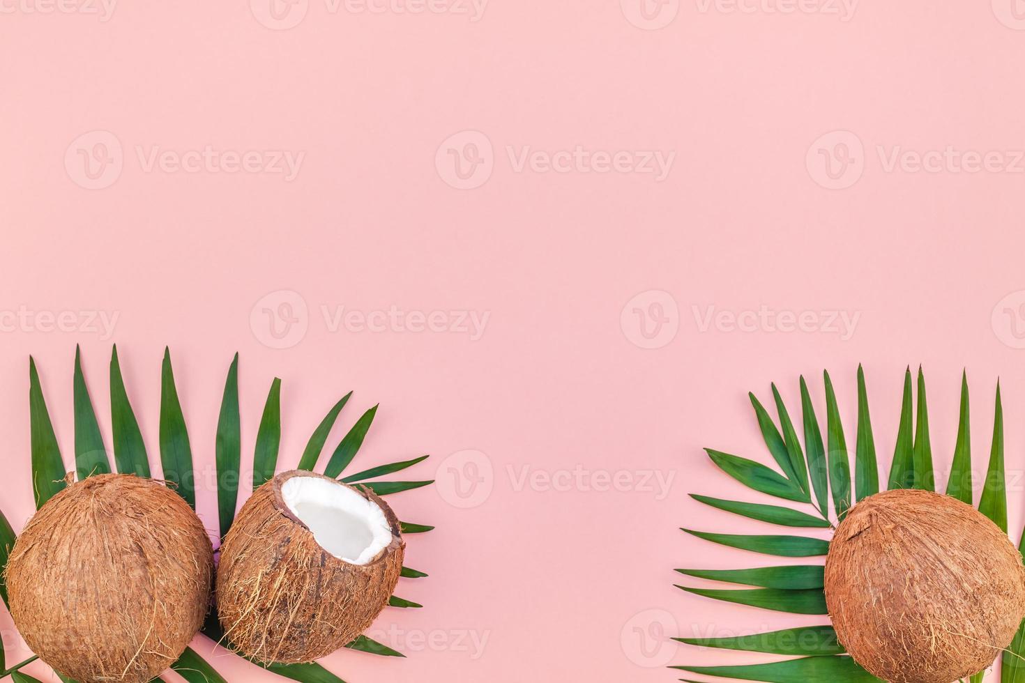 hojas de palma y cocos sobre fondo rosa pastel foto