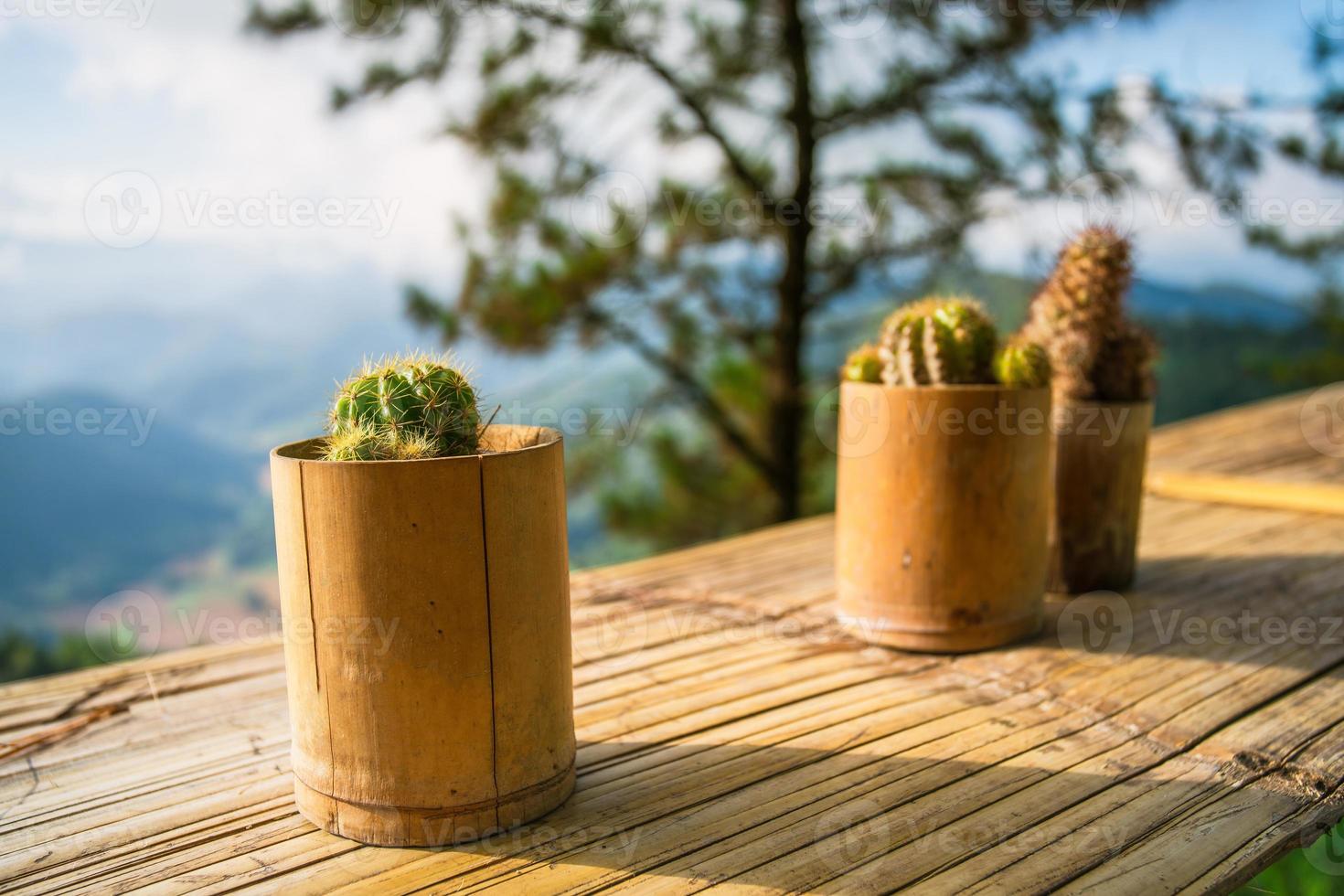pequeño cactus en terraza, planta decorativa en maceta de bambú foto