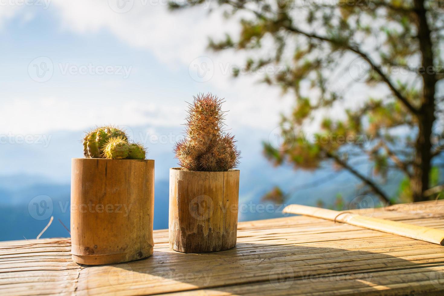 pequeño cactus en terraza, planta decorativa en maceta de bambú foto