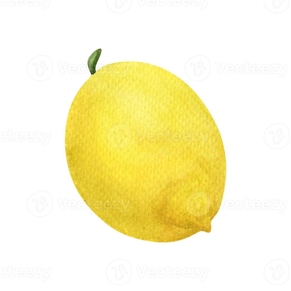 Watercolor lemon.  For fabric, invitations, gift card,  sticker, pattern and printing. A single watercolor element on a white background. photo
